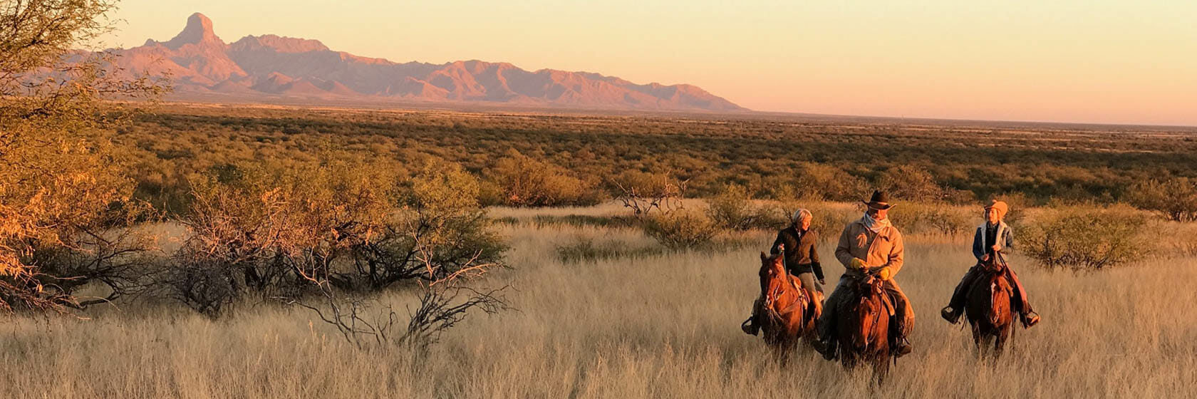 Trail ride in a field at Rancho de la Osa