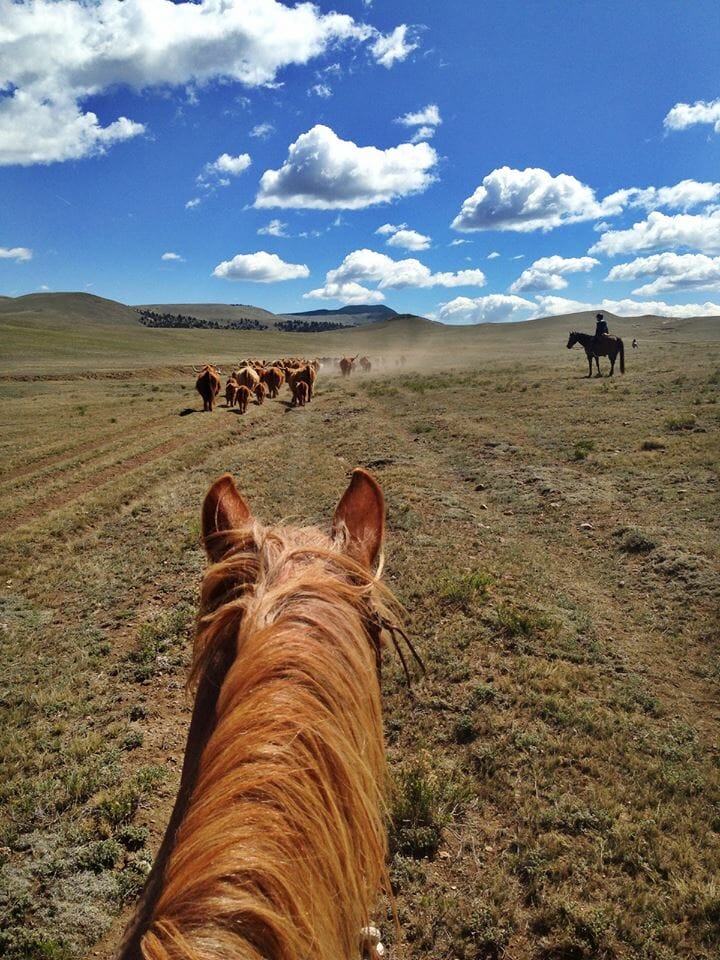 Horseback riding on a dude ranch