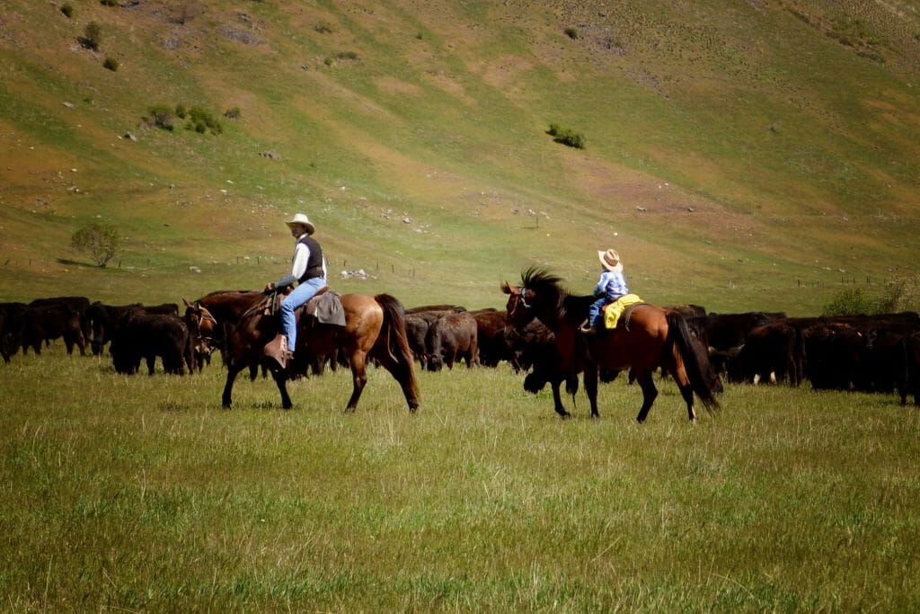 Bull Hill Cattle Drive Kids