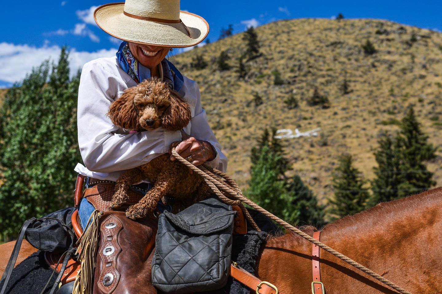 5 Pet Friendly Dude Ranches for Your Next Vacation The Dude Ranchers