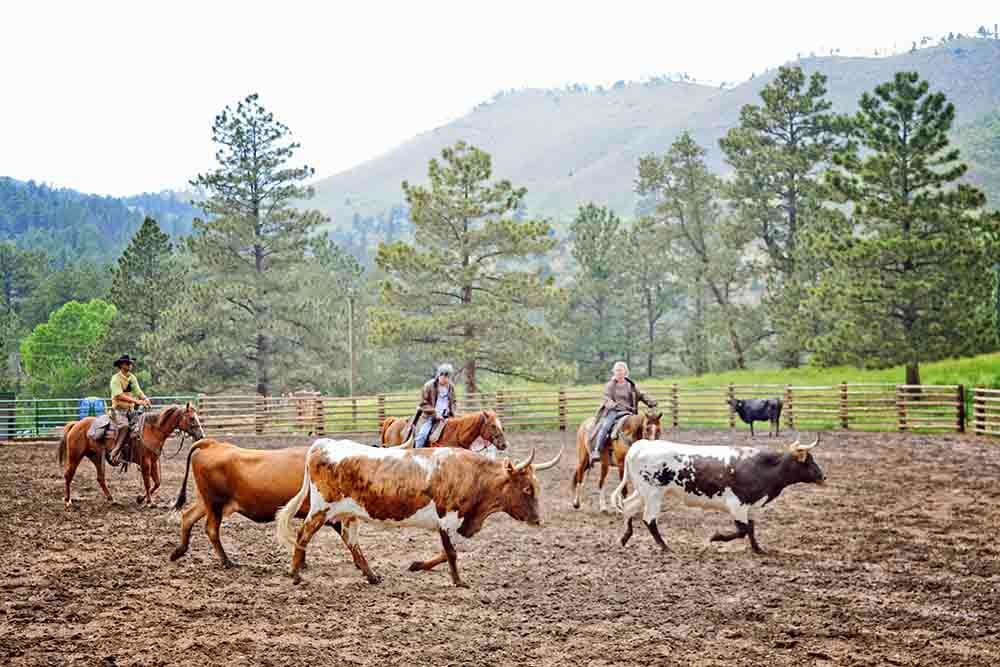 Cherokee Park Ranch Dude Ranches for the Experienced Rider
