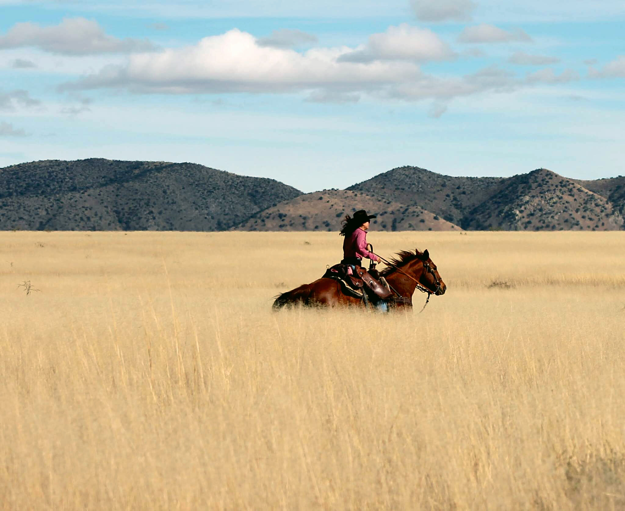 Монголии ранчо