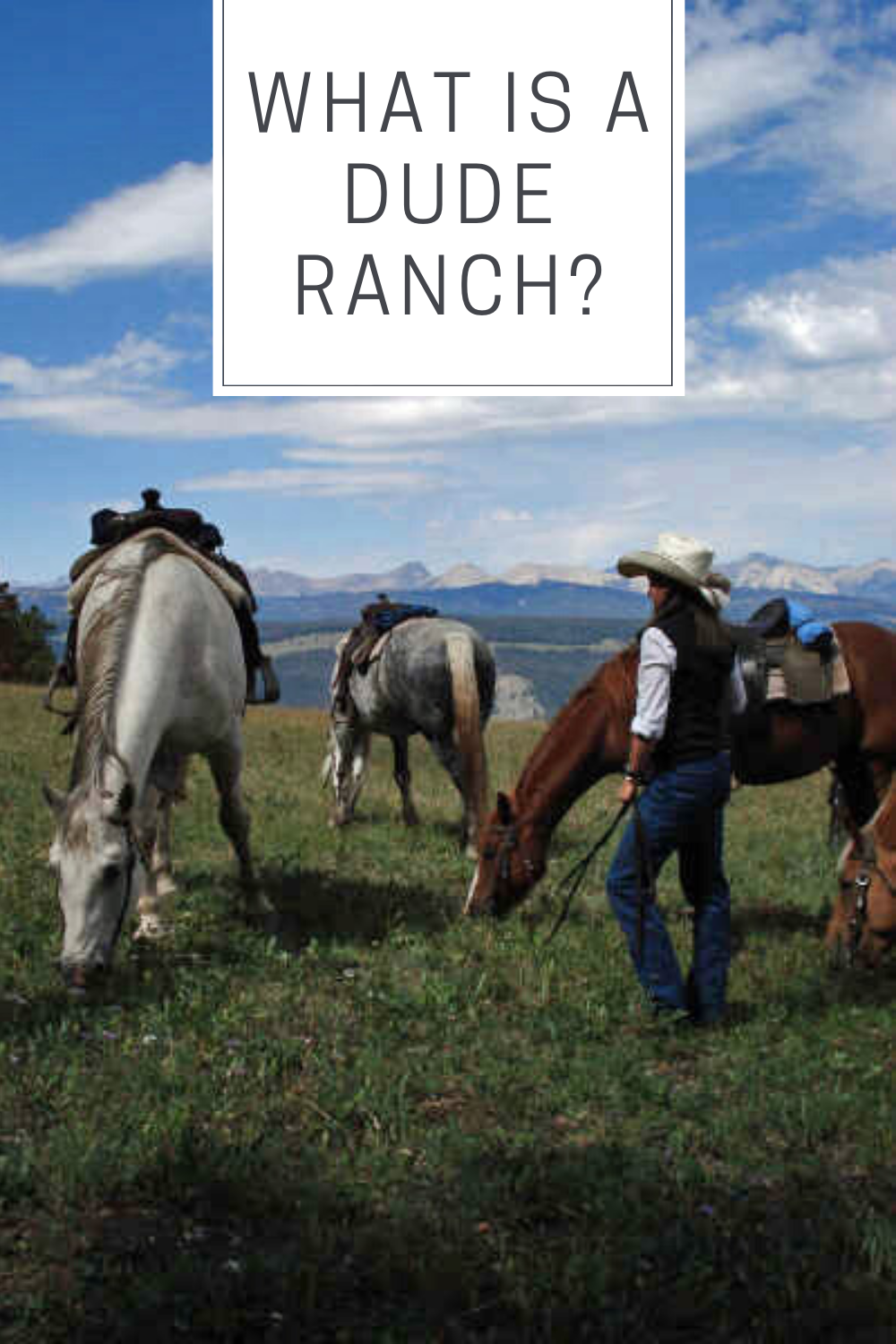 What is a guest ranch
