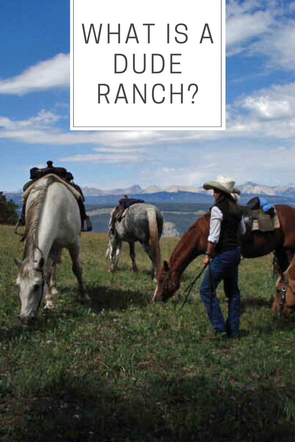 what-is-a-dude-ranch-the-dude-ranchers-association