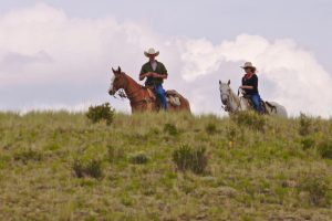 Elk Mountain Couple Hill Side Romance