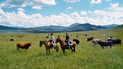 Riders on the mesa with cattle