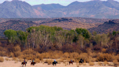 Riders on a trail in the desert