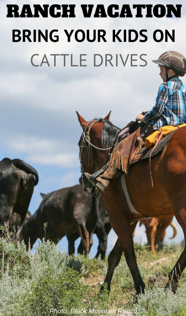 Can I take my children on a cattle drive? Yes you can! Adults are not the only ones able to go on such adventures, your kids (ages 6 & up) can too.