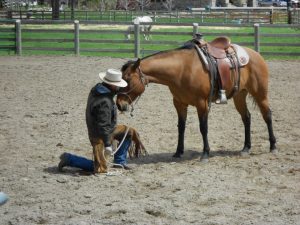 McGinnis Meadows Hidden Dude Ranch