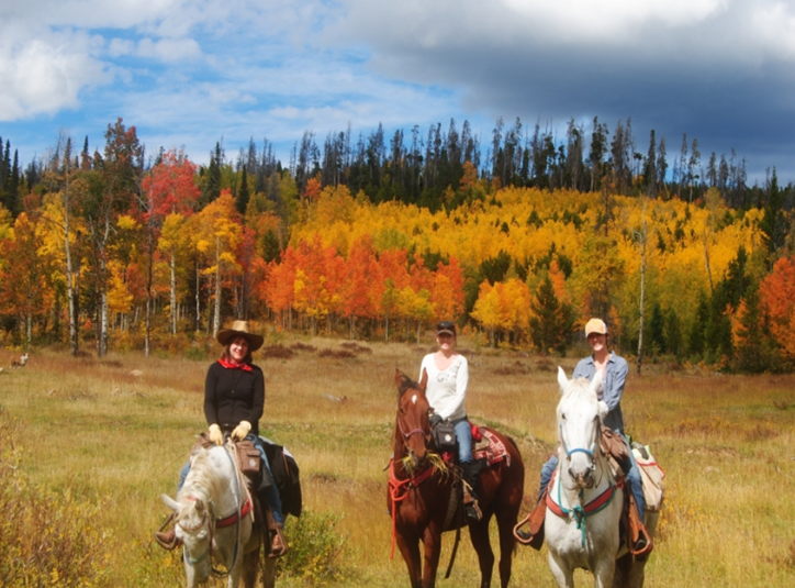 Medicine Bow Lodge and Adventure Guest Ranch