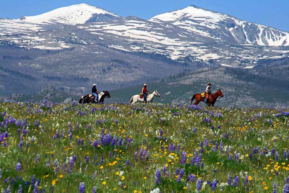 Paradise Guest Ranch Dude Ranches for the Experienced Rider