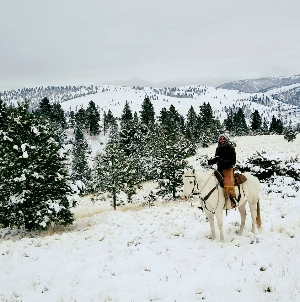 horse in the snowy mountains