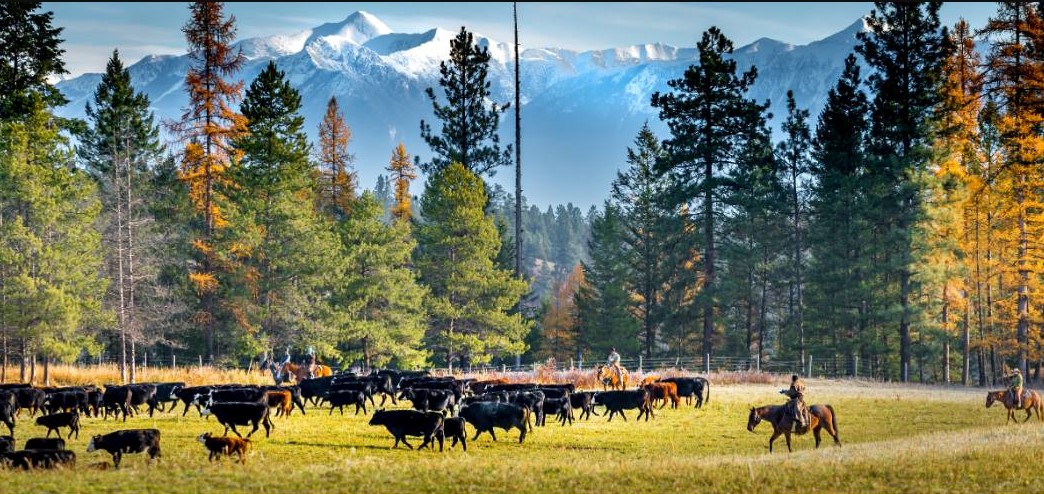 British Columbia Ranch