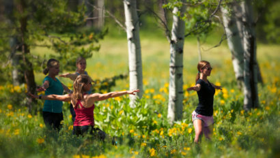 people doing yoga in a forest