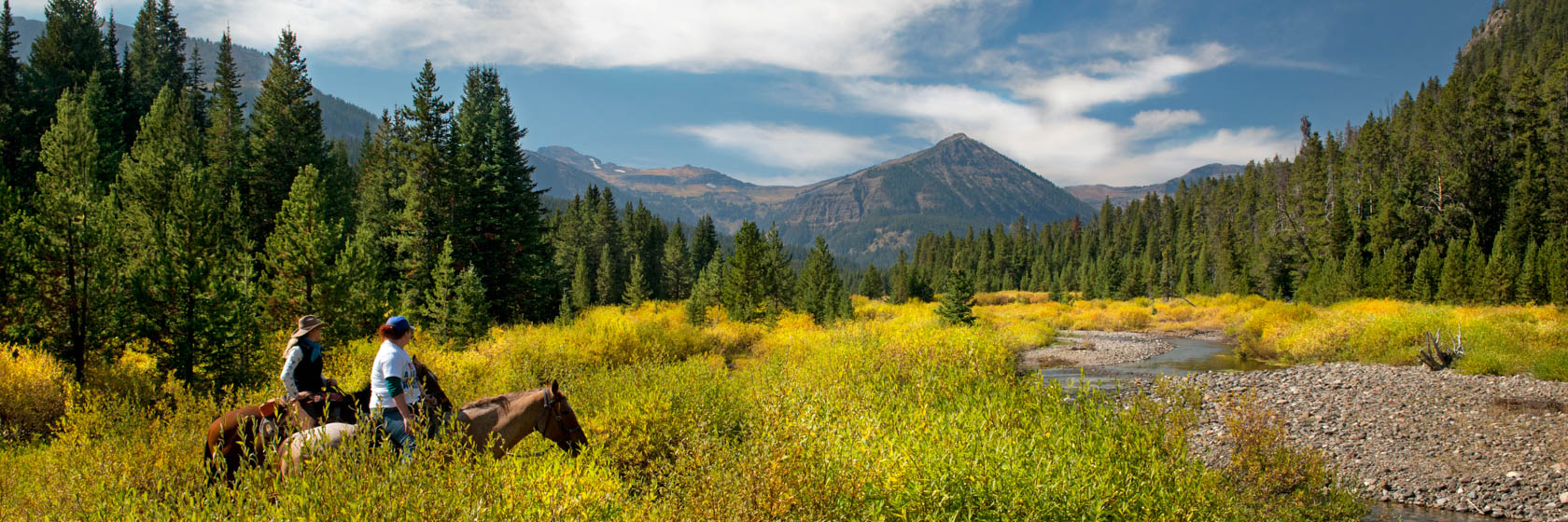 Hawley Creek trail