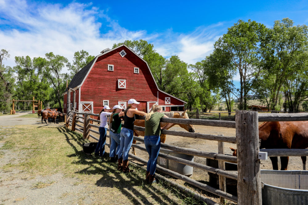 Guests leaning over fence watching horses with red barn