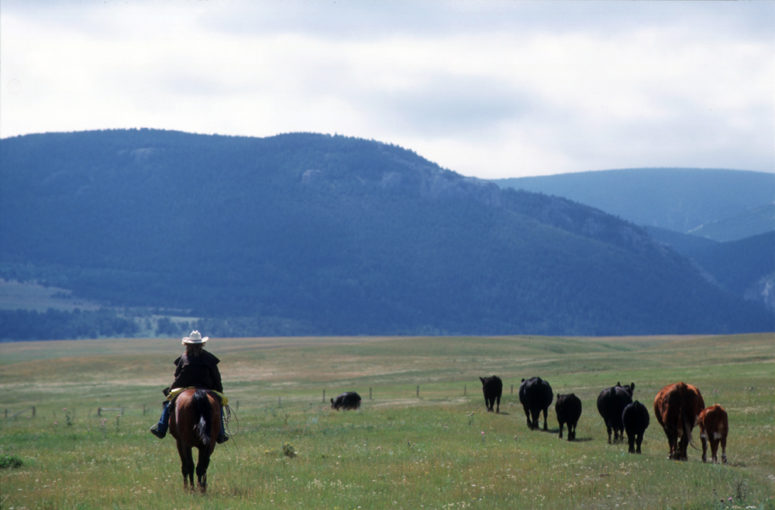 Circle Bar Ranch - The Dude Ranchers Association