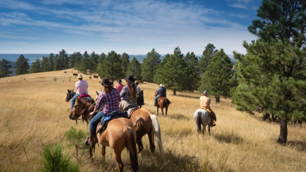 Kara Creek Ranch - The Dude Ranchers Association