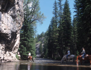 Circle Bar Horseback Ride through River
