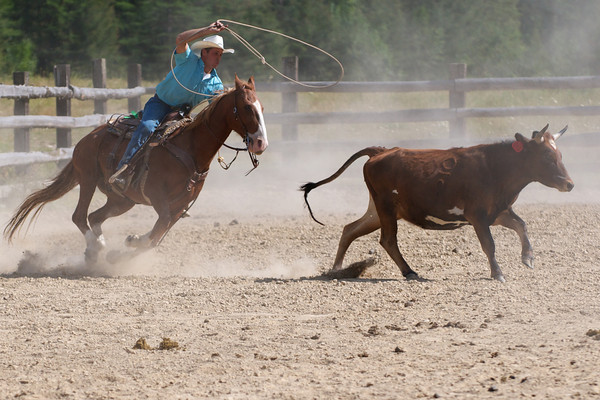 Discover the Cowboy in You This Year at a Working Cattle Ranch!