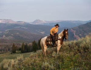 Darwin rider on the ridge