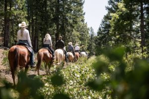 Greenhorn trail ride