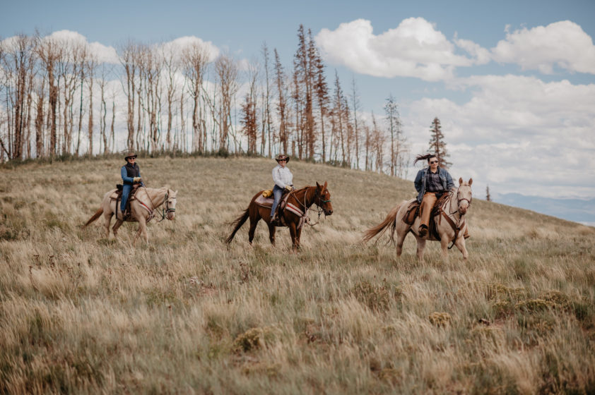 Make This the Year of the Cowboy | The Dude Ranchers' Association