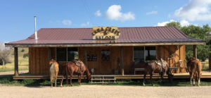Horses outside of Kara Creek Saloon