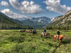 riding horses through a valley