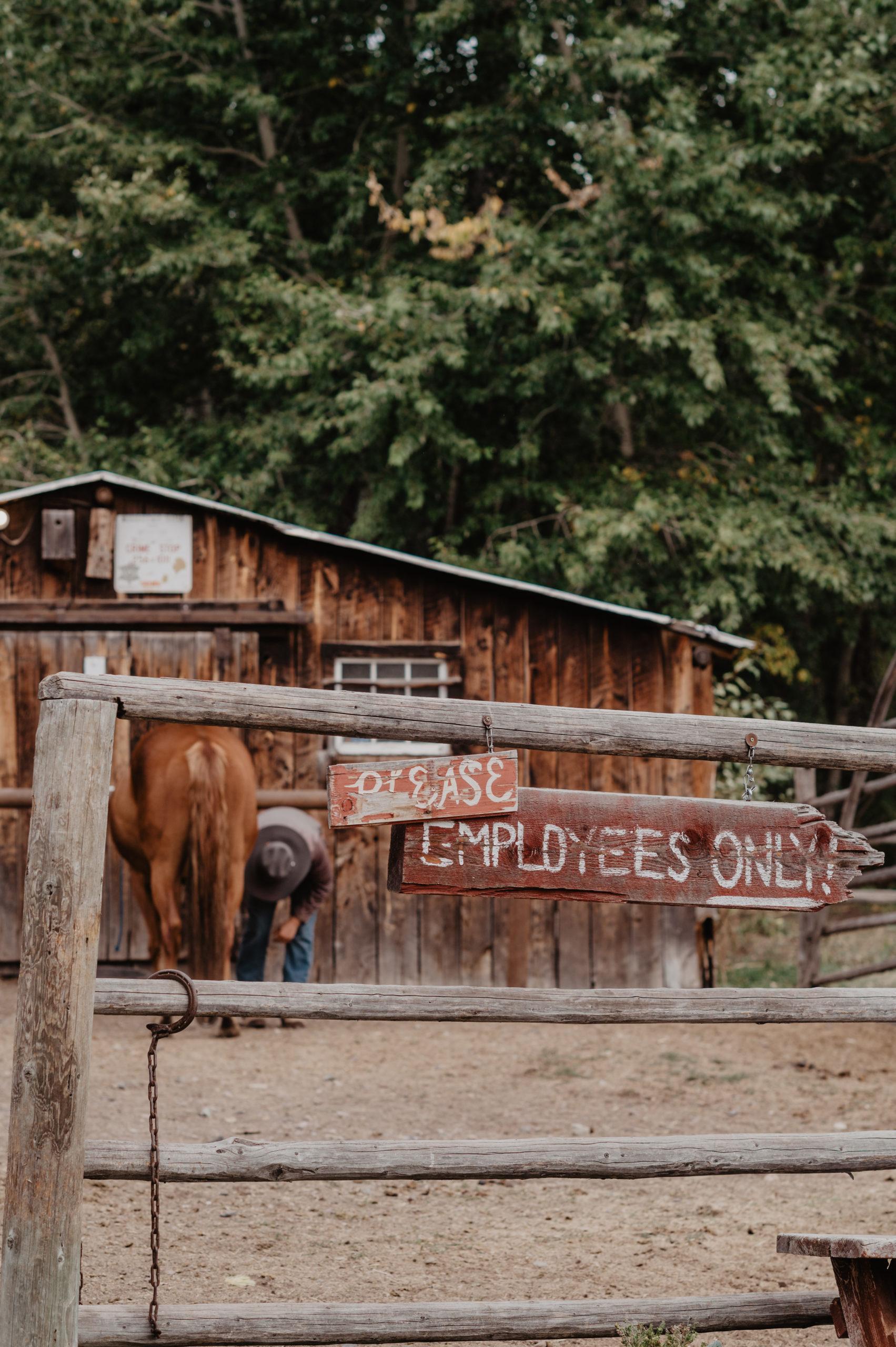 5 Tips to Find Last Minute Summer Job The Dude Ranchers' Association