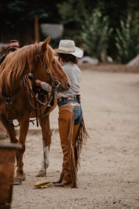 person holding horse in traditional attire