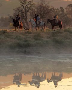 people riding horses reflecting on the water