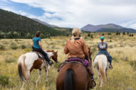 group riding horses