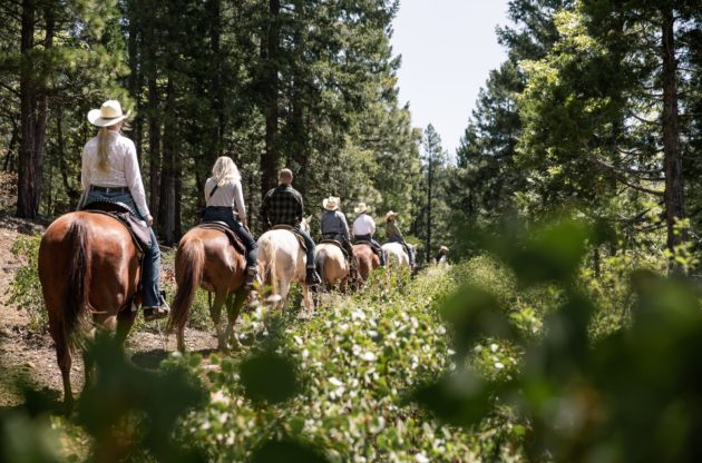 group of guests riding on a trail