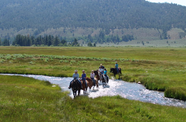people on horses crossing over a stream