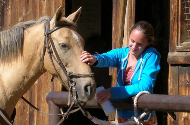 girl petting a light brown horse