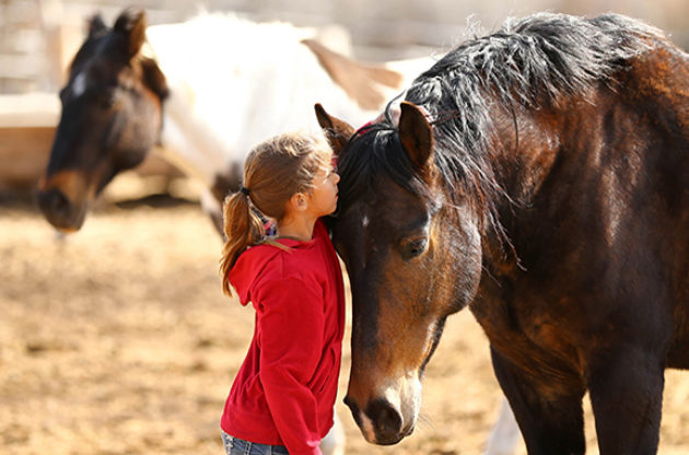 young girl and brown horse