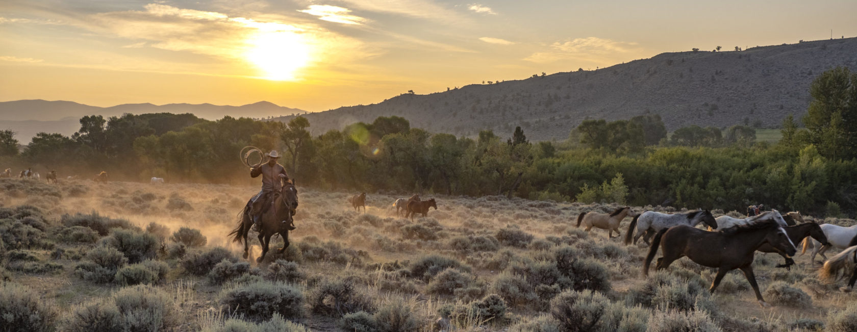 CM ranch early morning horse wrangle