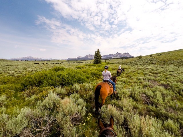 Absaroka Trail Ride