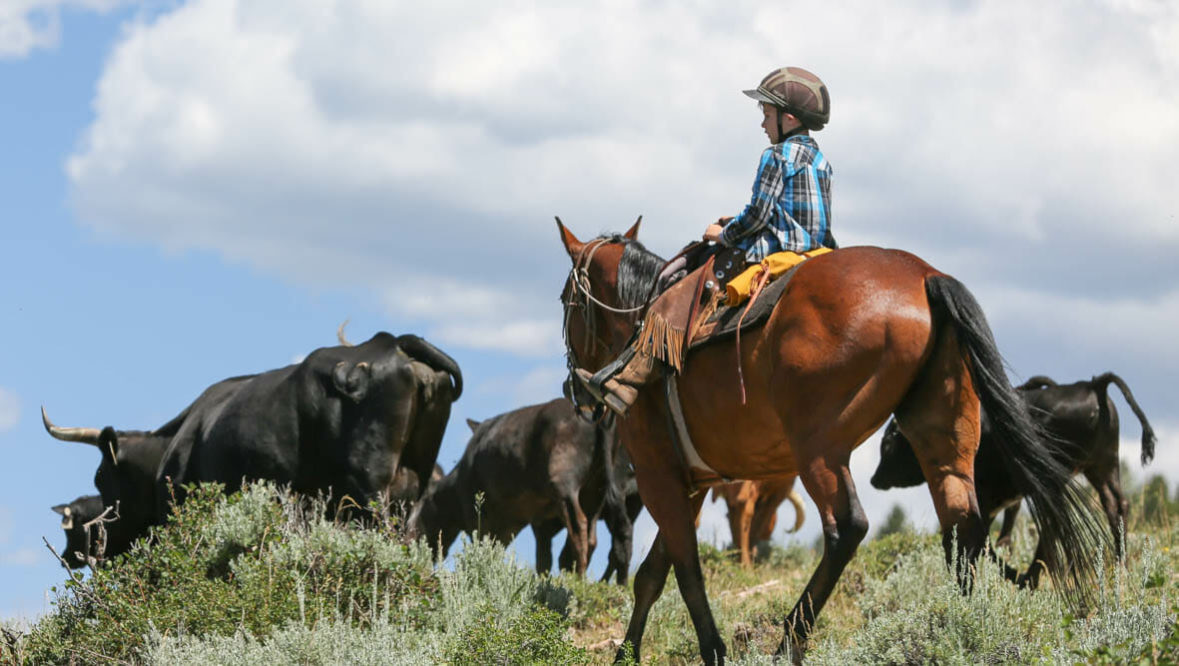 Kid on a cattle drive at Black Mountain Ranch