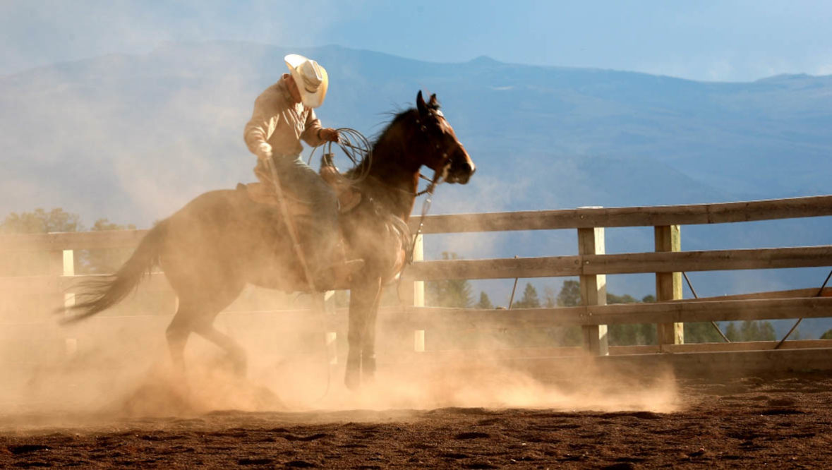 Wrangler in an arena at Black Mountain Ranch