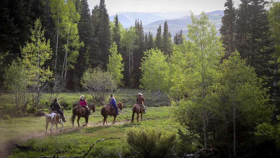 Trail ride through green trees at Black Mountain Ranch