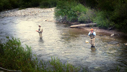 Two guests fly fishing in a creek at Diamond D Rarnch