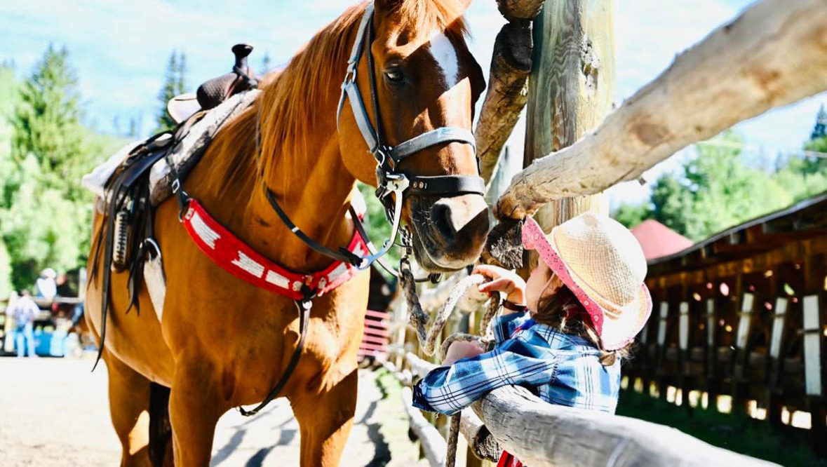 Young girl petting a horse through a fence at Drowsy Water Ranch