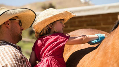Young girl brushing a horse at Elkhorn Ranch Arizona