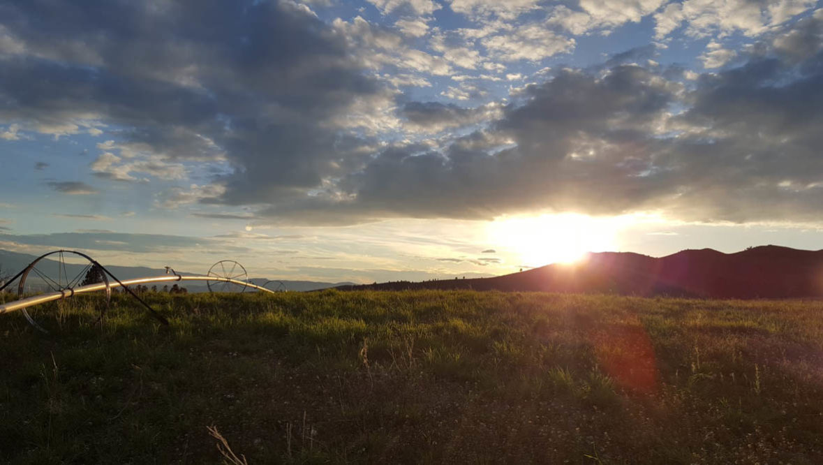 Sunset at Hidden Hollow Ranch
