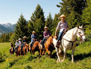 trail ride with kids on all different color horses
