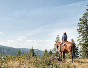 Guest on a horse looking at the view at McGinnis Meadows Cattle Ranch