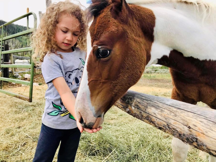Girl Feeding Horse