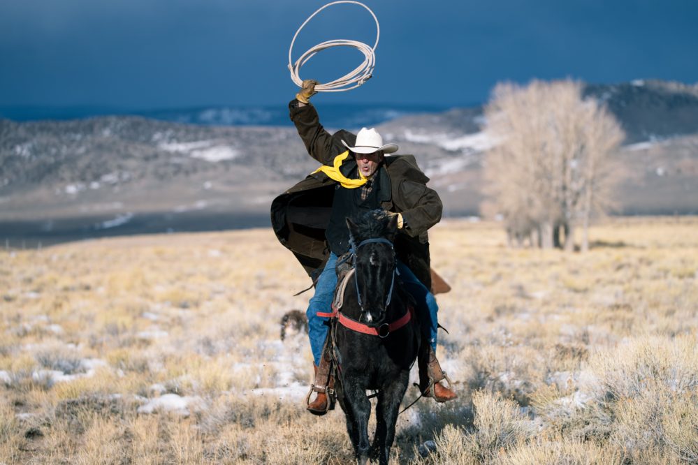 Cowboy Roping